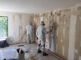 Best Black Mold Removal  in Andrews, NC